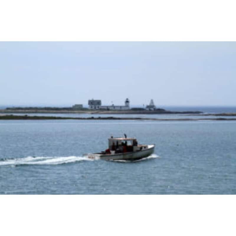 USCGC Cape Porpoise (WPB-95327) 36 Inches L Ship Model