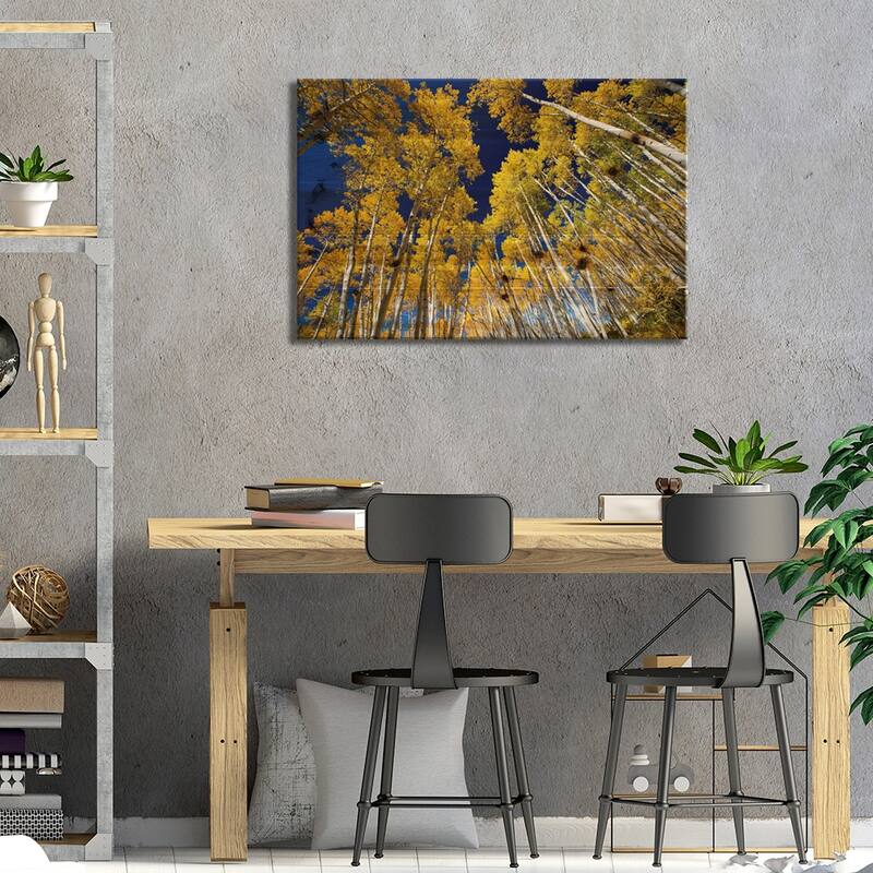 Aspen Trees In A Forest, Maroon Bells, Maroon Creek Valley, Colorado, USA VI Print On Wood by Panoramic Images - Multi-Color