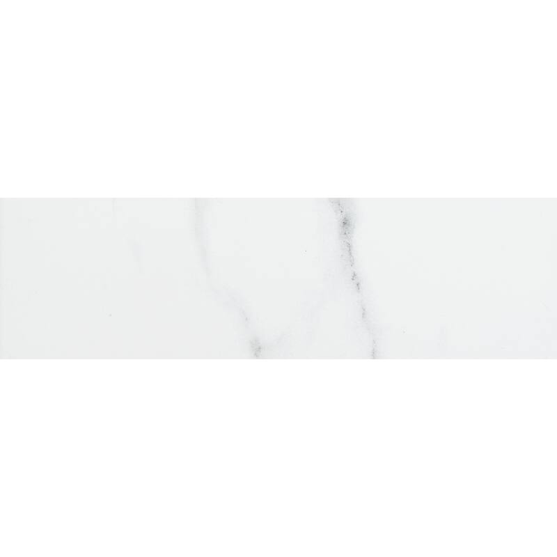 The Tile Life Tmolus 4x13 Porcelain Floor & Wall Tile