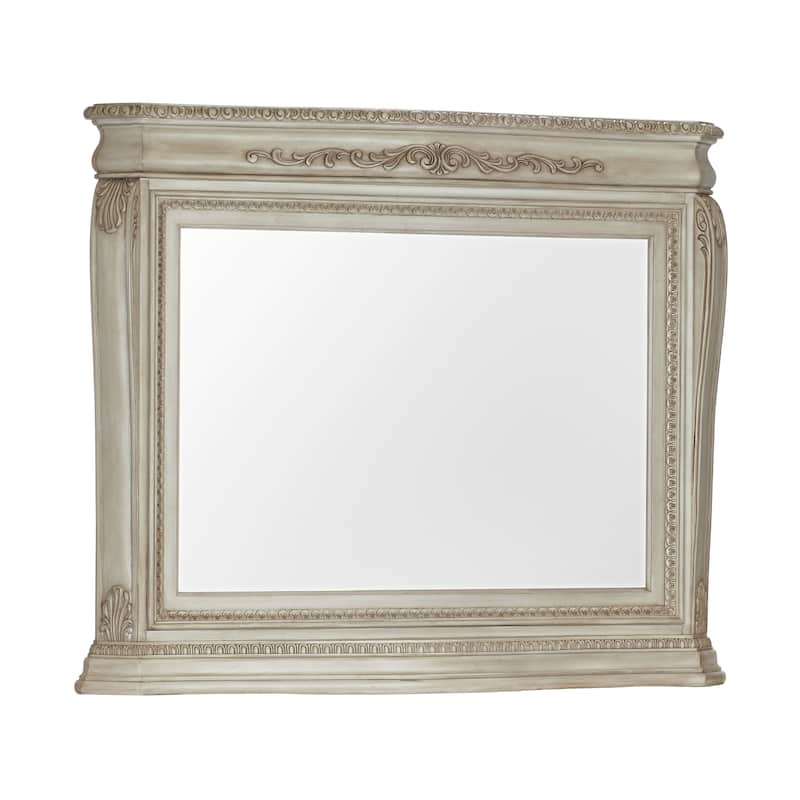 Wessex Mirror Seashell - Seashell