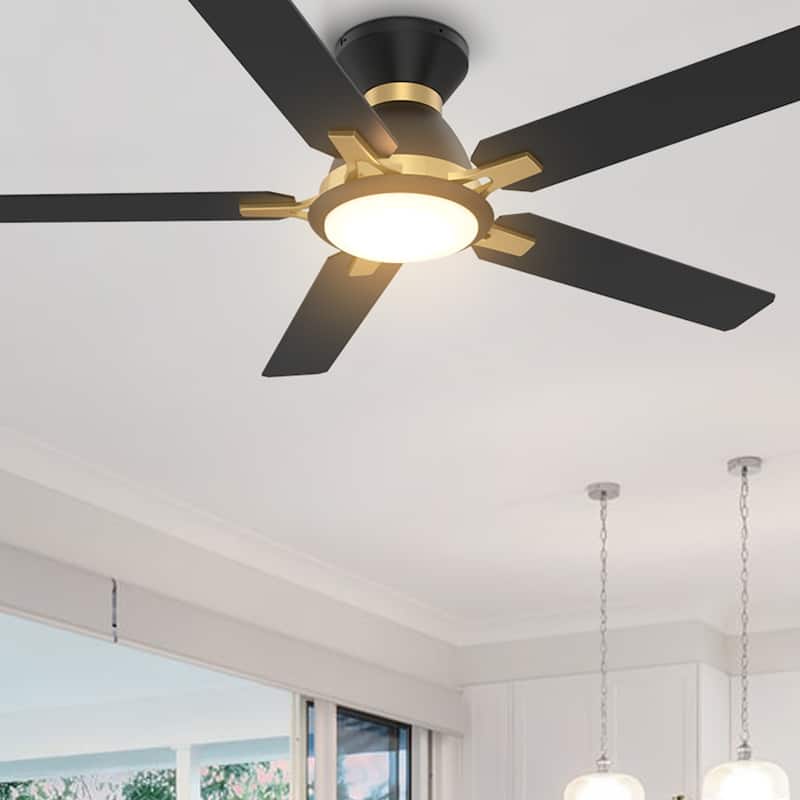 CARRO Joule 52" 5-Blade Smart Ceiling Fan with Light and Remote-Flush Mount - Black/Gold