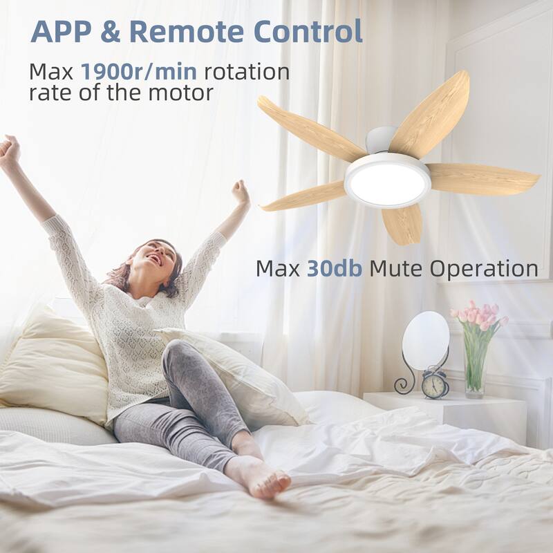 42-inch Eye-Protection Light Source Black Fan Blades High Airflow Plug-in Fan Blades ABS Plastic Fan Blades Ceiling Fan Light