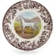 Option Arabian Horse Design