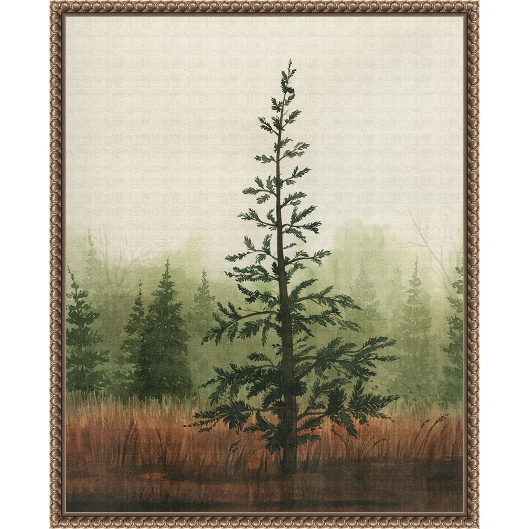 Young Evergreen II by Grace Popp Framed Canvas Wall Art