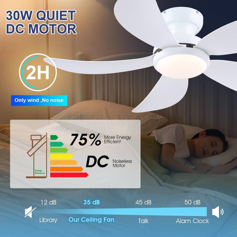 52" Low Profile Modern Ceiling Fan with Light,5 ABS Blades,
