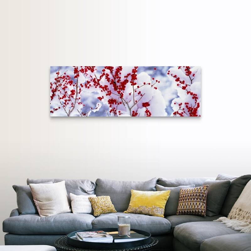 "Snow w/fruit tree Keihoku-Cho Kyoto Japan" Canvas Wall Art - 60 x 20