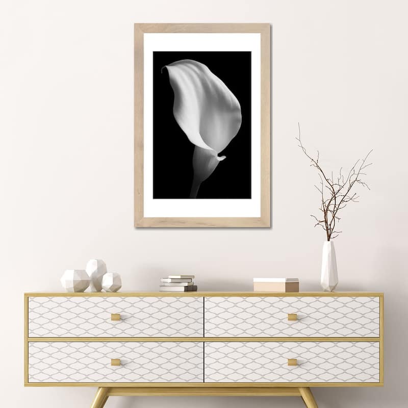iCanvas "Lily On Black II" by Tom Quartermaine