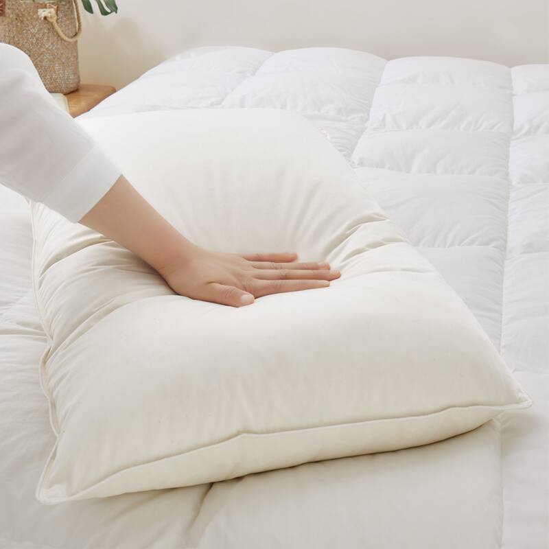 Set of 2 Down Feather Pillow-in-a-pillow Bed Pillows with 100% Organic Cotton Cover - Off-White