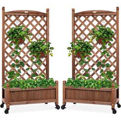 Set of 2 48" Wooden Planter Boxes and Diamond Trellis