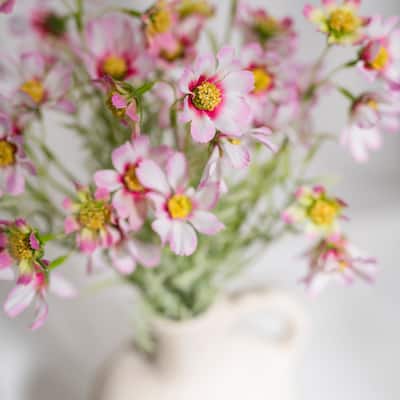 Silk Decorative Artificial Starry Sky Cosmos(Pack of 1 Branch)