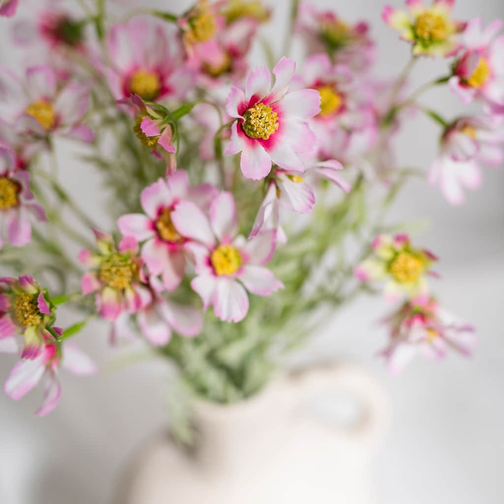 Silk Decorative Artificial Starry Sky Cosmos(Pack of 1 Branch)