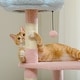 preview thumbnail 6 of 6, Flower Cat Tree 47.2" Multi-Level Cat Tower with Sisal Covered Scratching Posts, Cute Cat Condo for Indoor Small Medium Cats, Pi