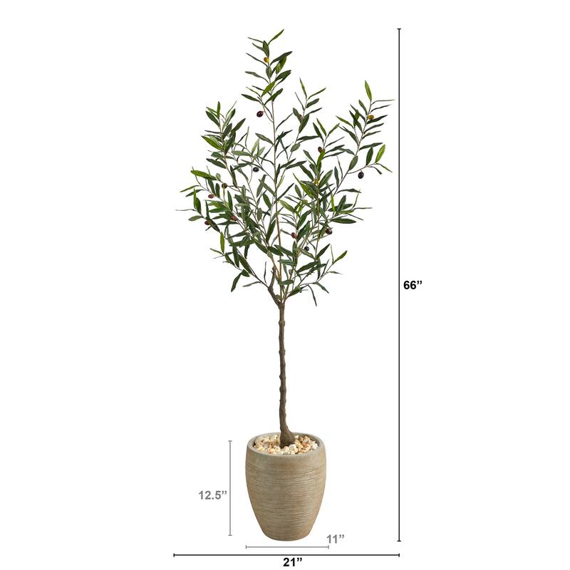 5.5' Olive Artificial Tree in Sand Colored Planter - 12.5"