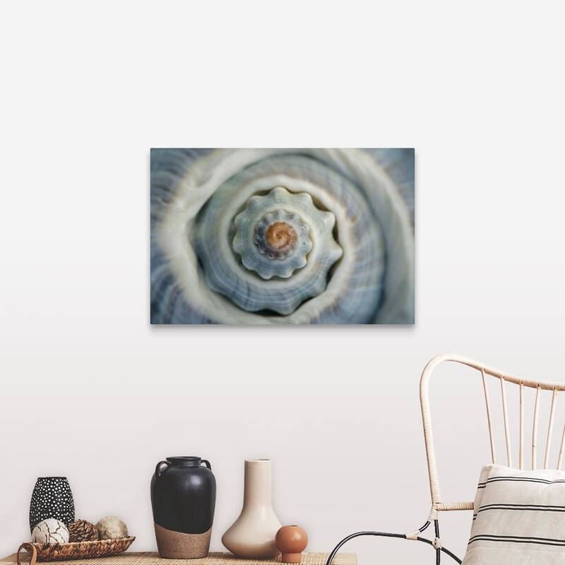 "Colorful conch shell spiral, Vienna, Austria" Canvas Wall Art - Includes Hardware - 36 x 24