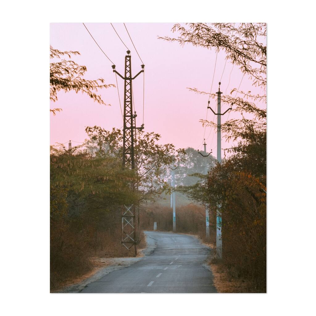 Sunrise Sunset Sunset Tree Photography Unframed Wall Art Print/Poster