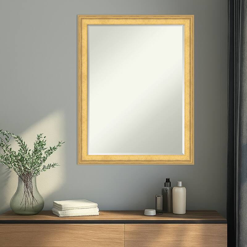 Owen Half-Inch-Bevel Framed Wall Mirror - Owen Gold - 21 x 27 in
