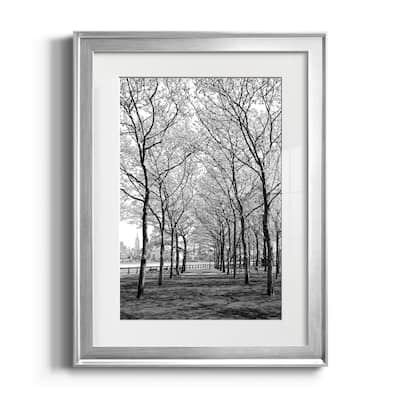 Pier a Park Premium Framed Print - Ready to Hang