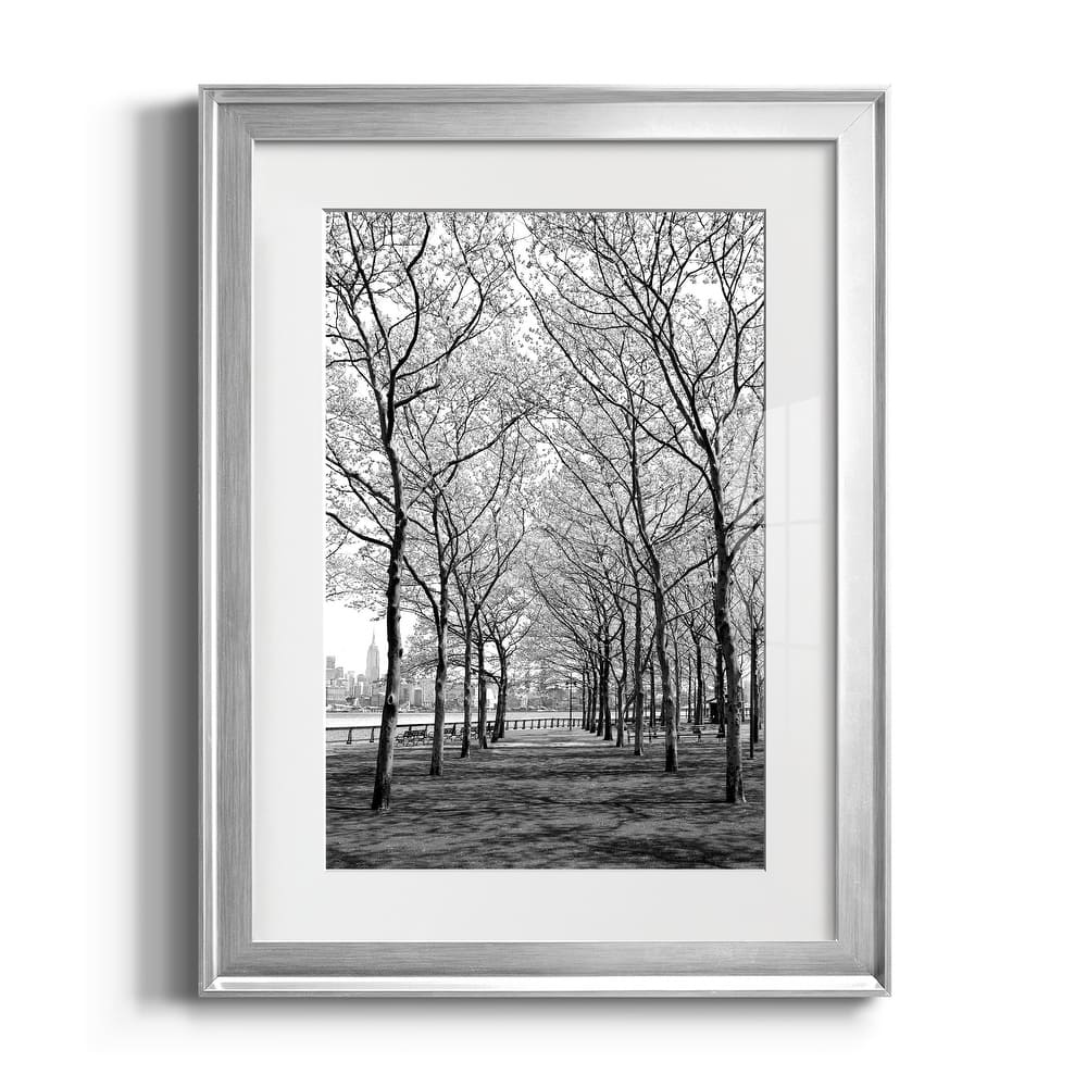 Pier a Park Premium Framed Print - Ready to Hang