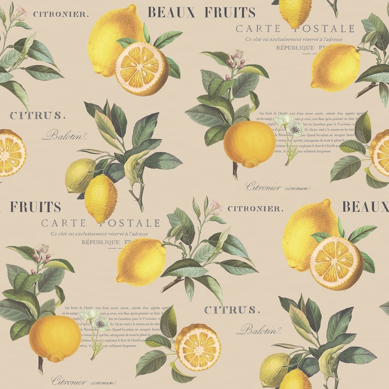 Galerie Wallcoverings Just Kitchens Citron Botanical Vinyl on Non-woven Matte Wallpaper Roll - 33 feet x 21 inches - Beige