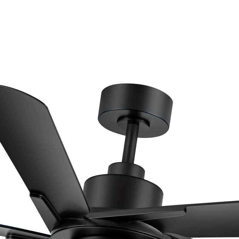 60" Modern Black ABS 5-Blade Propeller Ceiling Fan with Light and Remote