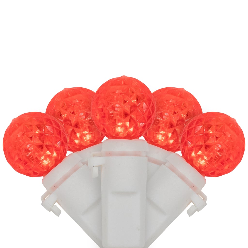 LED G12 Berry Christmas Lights - Red - 16' White Wire - 50 ct