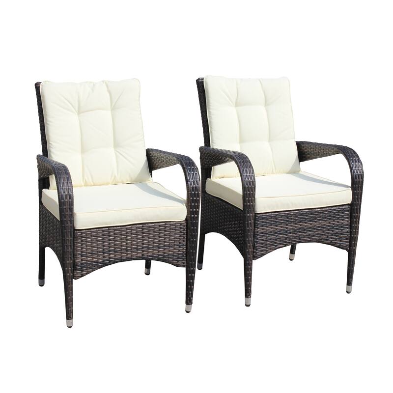 2-Piece Liberatore Dining Chairs with Cushions