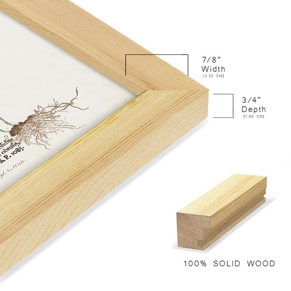 dimension image slide 13 of 21, Nature Printed Ferns IX -Framed Print w/glass-Cherry Red