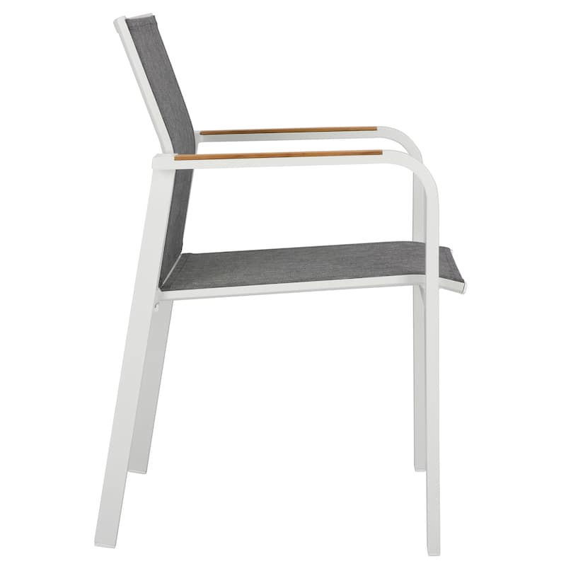 SAFAVIEH Outdoor Living Dexter Armchair with Teak (Set of 2)