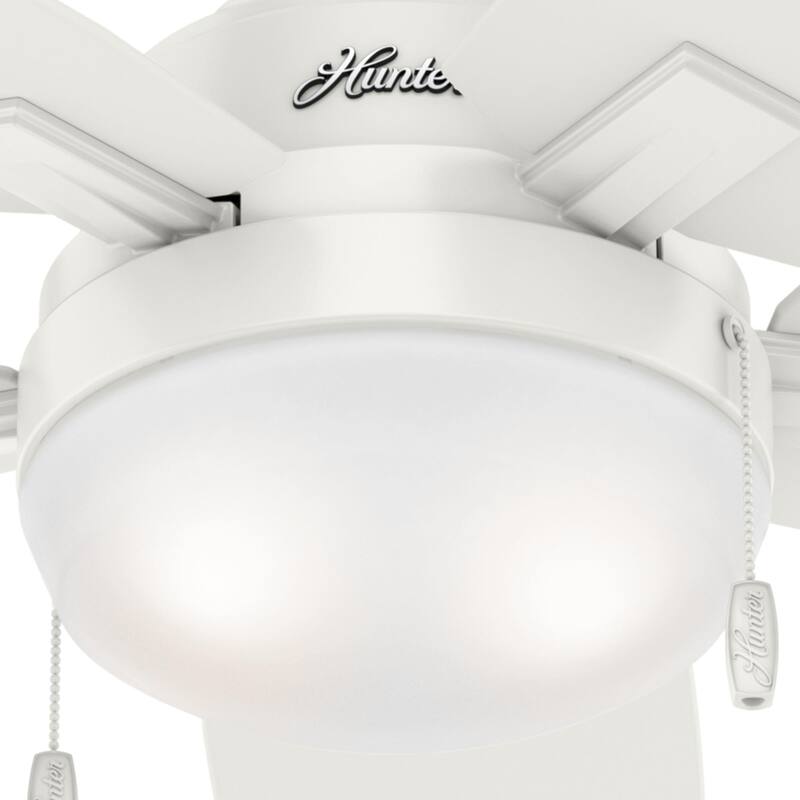 Hunter Morgantown Ceiling Fan with LED Light, Pull Chain - Transitional, Contemporary