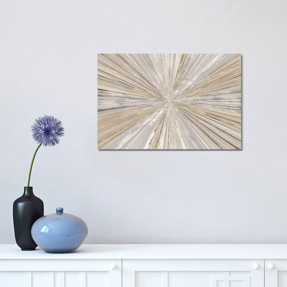 iCanvas "Shimmering Light I" by Tom Reeves Canvas Print