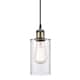Option Clear / Black Antique Brass