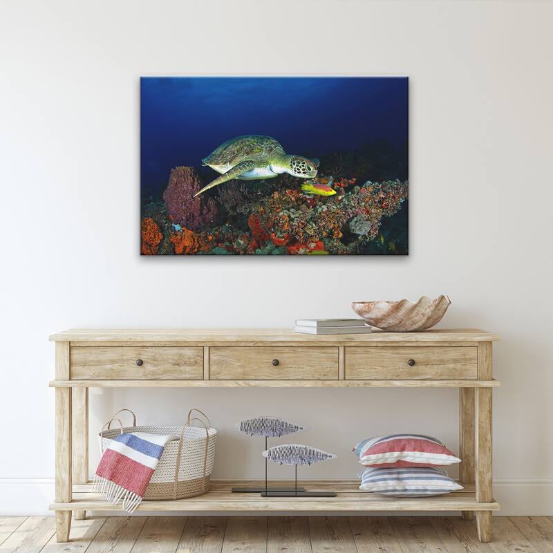 Ready2HangArt 'Turtle' Wrapped Canvas Wall Art