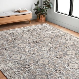 Alexander Home Giovanni Vintage Transitional Area Rug