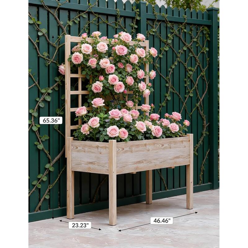 Wooden Elevated Garden Bed, with Trellis