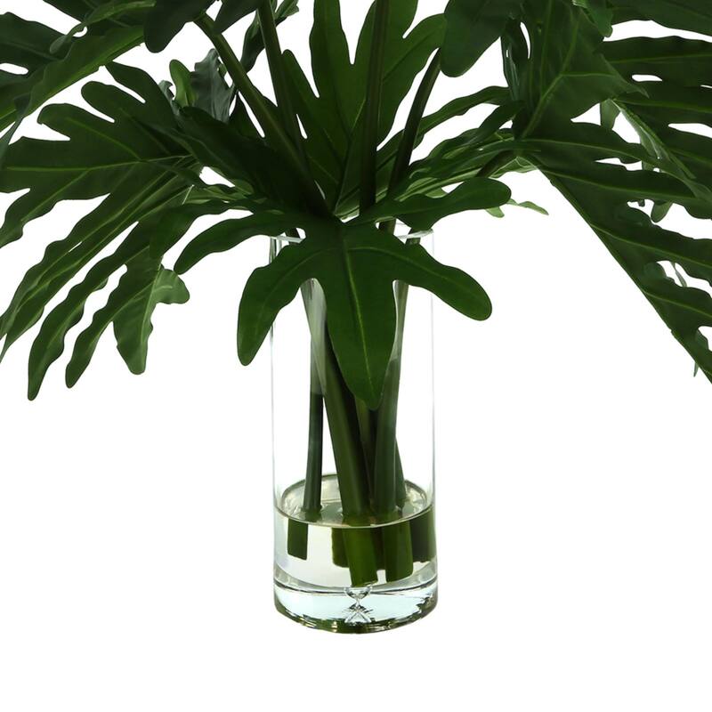 Organic Modern Philodendron Arranged in Glass Vase - Green