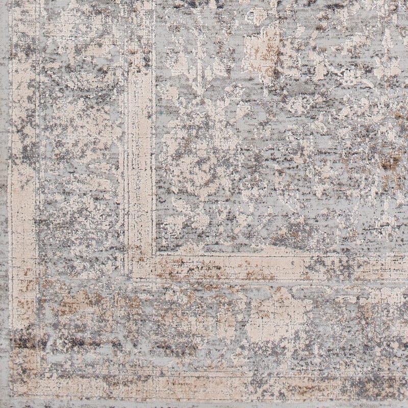 Margarethe Traditional Area Rug - 2'7" x 7'3" Runner