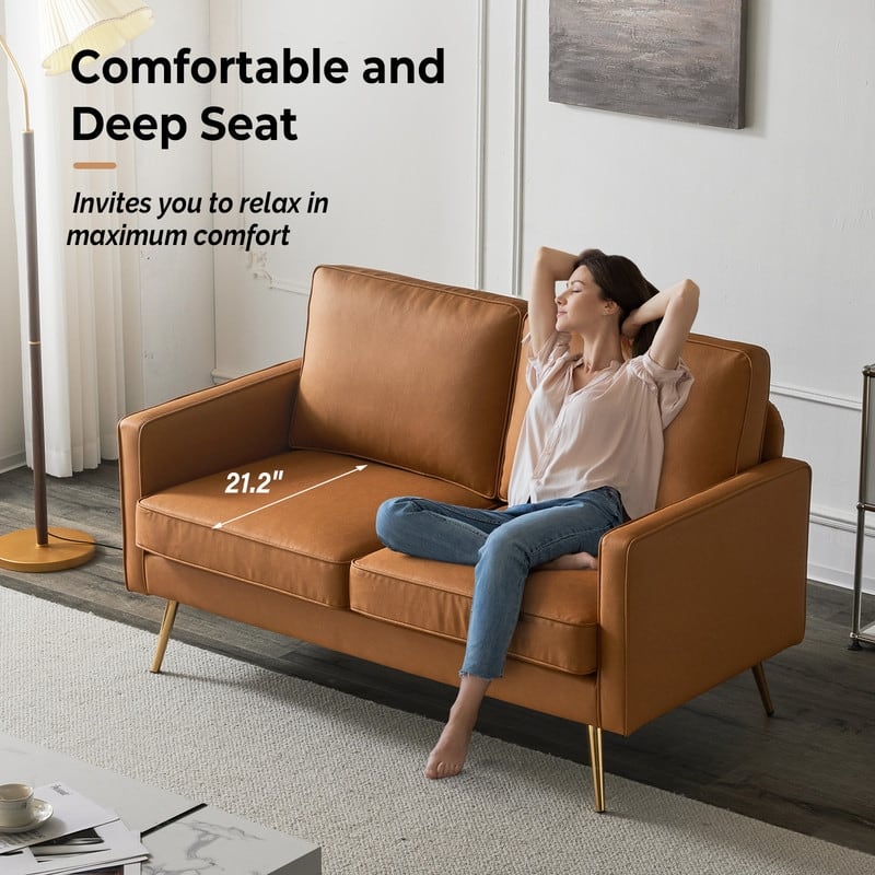 VINGLI 56" Modern Loveseat