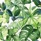 Green Monstera Wallpaper - Bed Bath & Beyond - 35647539