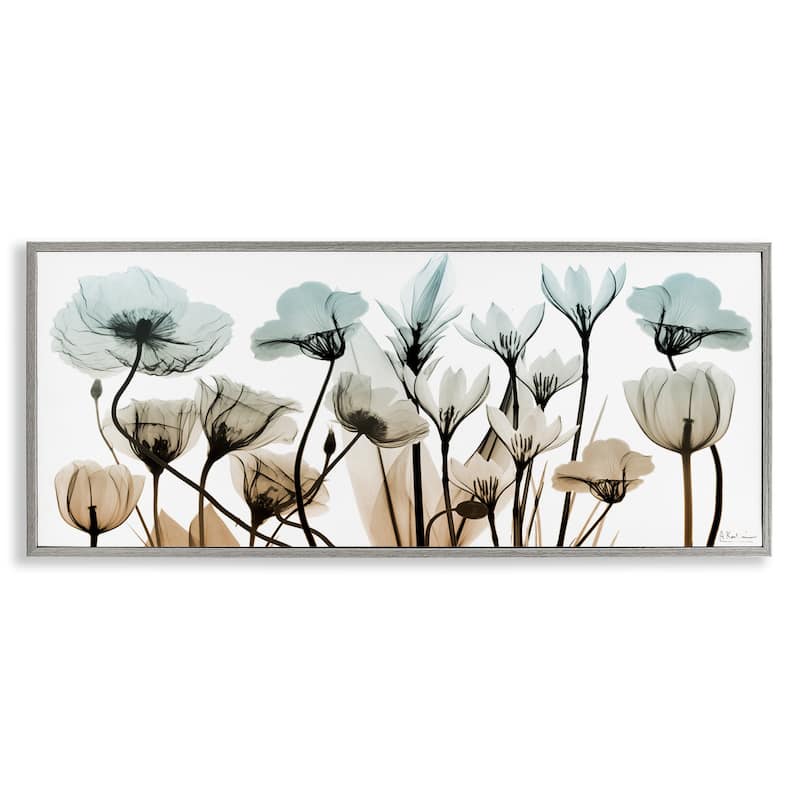 Stupell Mixed X-Ray Flowers Framed Giclee Art Design by Albert Koetsier - 24 x 10 - Grey