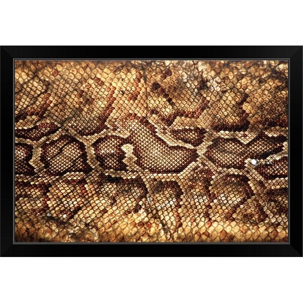 "Close up of Snake skin." Black Framed Print