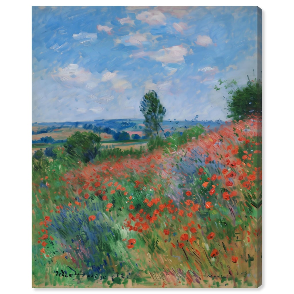 Blanket of Poppies II Canvas by Art Remedy, Gallery Wrapped
