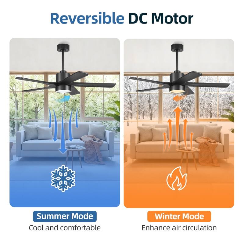 WINGBO 54" and 64" 5 ABS Blades DC Motor Indoor Ceiling Fan with Light & Remote