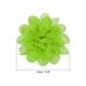 Option Lime Green
