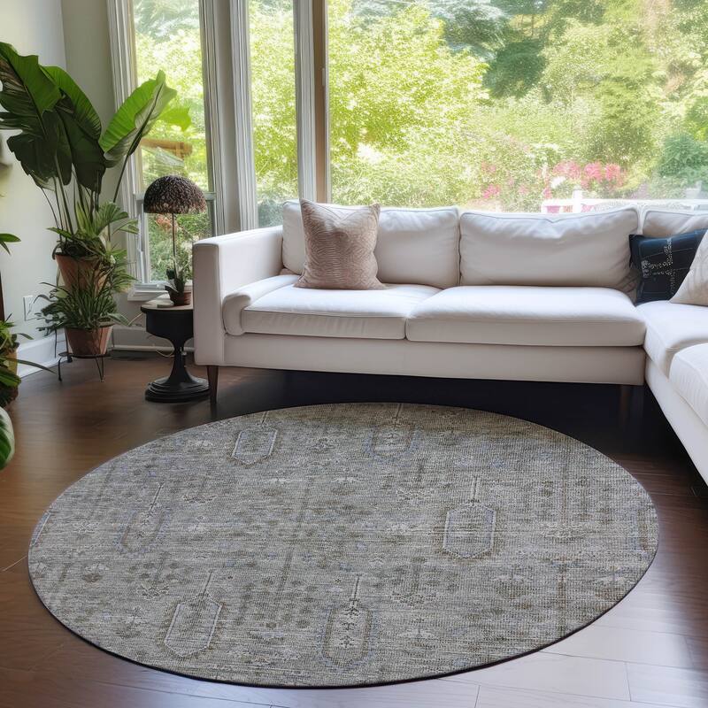 Machine Washable Indoor/ Outdoor Chantille Distressed Traditional Rug