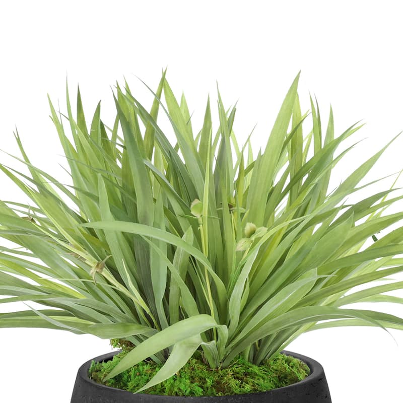 Grass Arrangement in Fiberstone Pot - 15