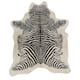 Option Zebra Spine