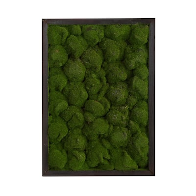 17" X 24" Artificial Moss Hanging Frame - 6"