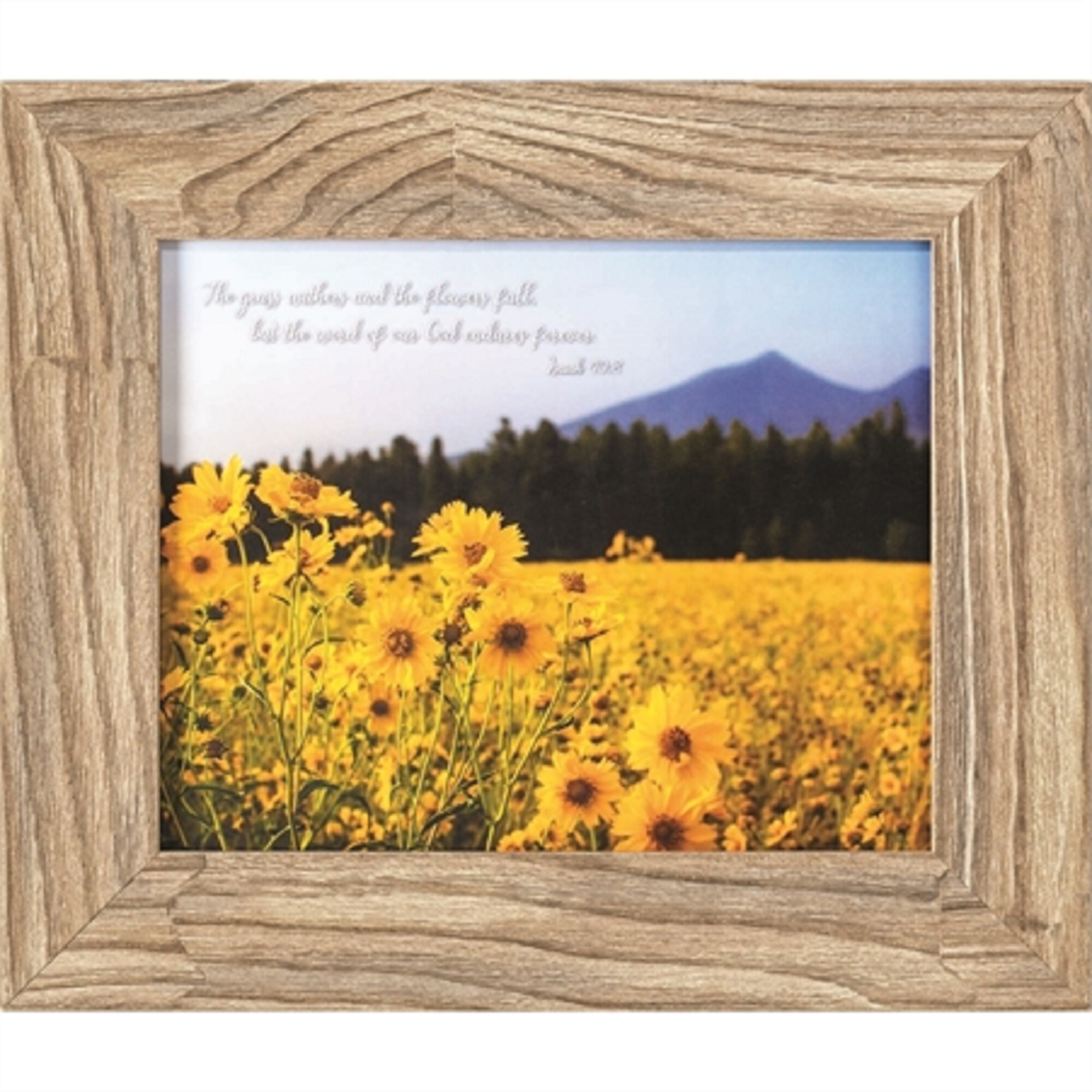 Shop Blue And Yellow Flowers And Bible Verse Printed Framed Glass