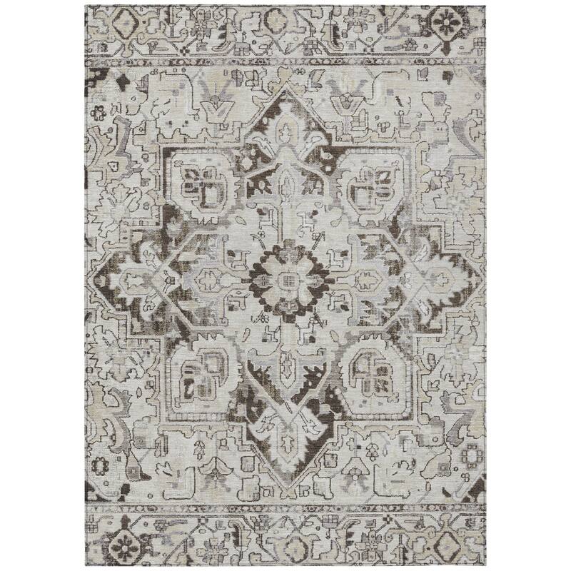 Machine Washable Indoor/ Outdoor Traditional Boho Chantille Rug