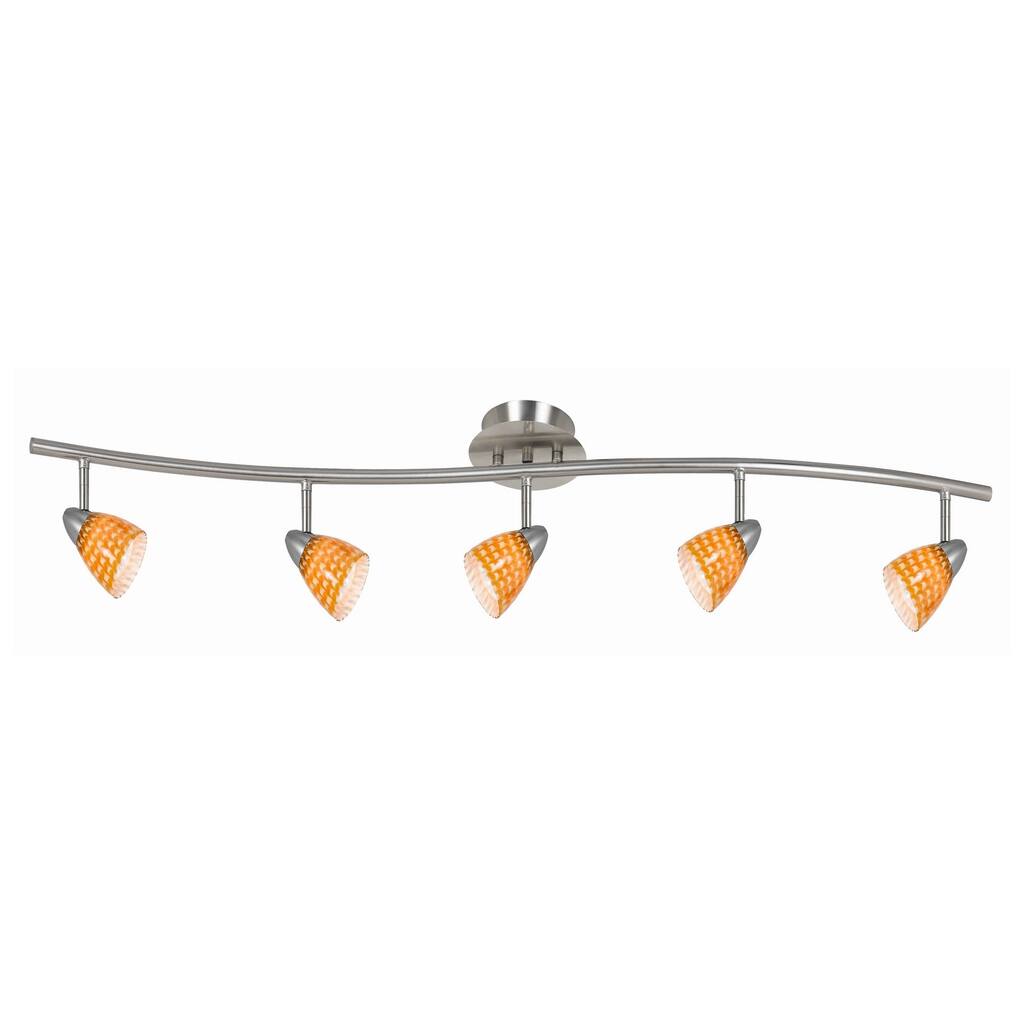 5 Light 120V Metal Track Light Fixture with Glass Shade, Silver and ...